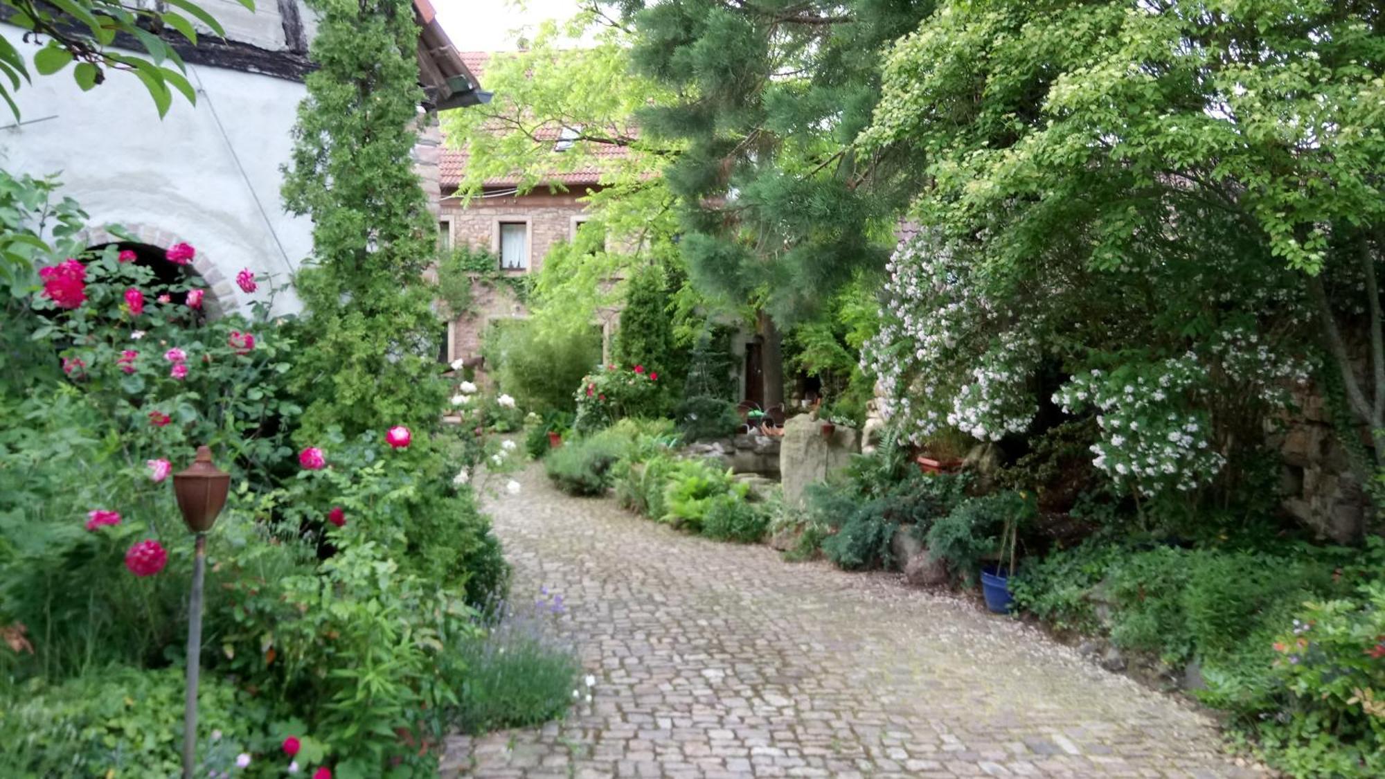 "El Patio" Am Donnersberg Apartment Dannenfels Exterior photo