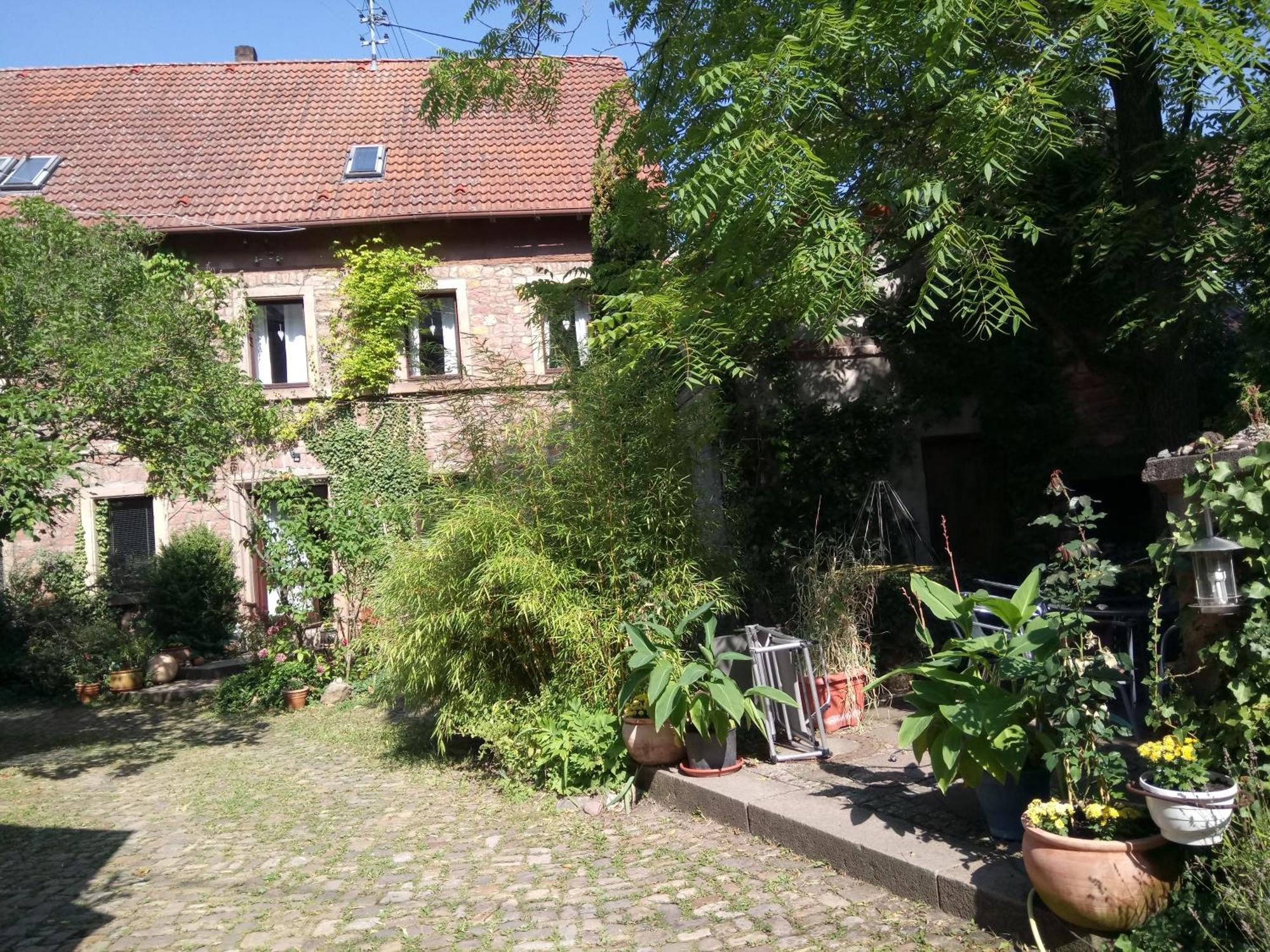 "El Patio" Am Donnersberg Apartment Dannenfels Exterior photo