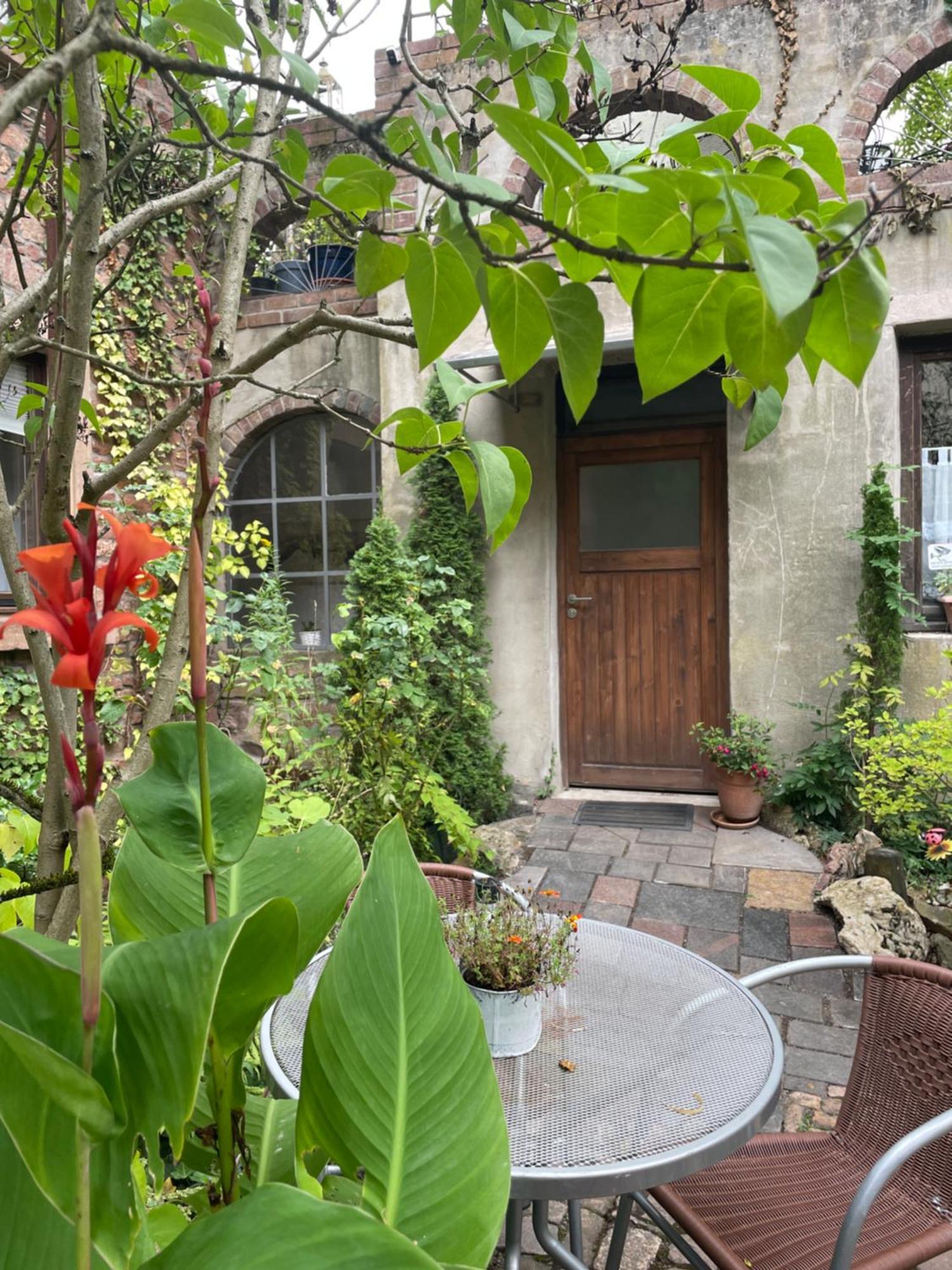 "El Patio" Am Donnersberg Apartment Dannenfels Exterior photo